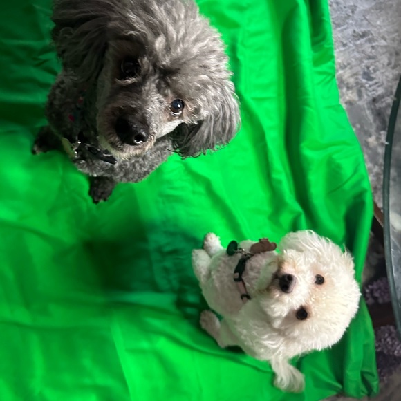 Welcome!! Thanks for visiting our closet! We look forward to visiting yo… - Picture 5 of 9